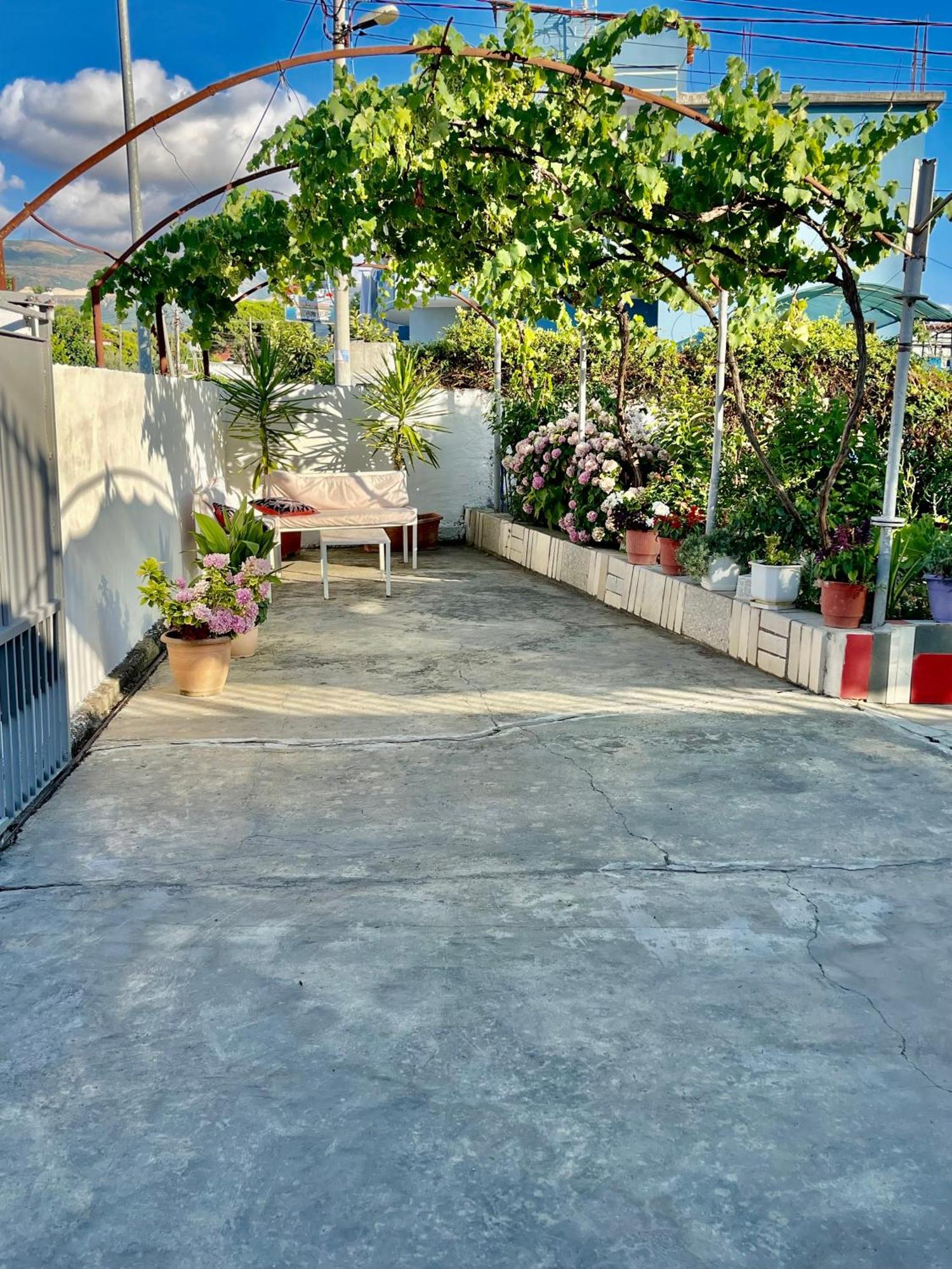 Guest House Dea Vlore Bagian luar foto